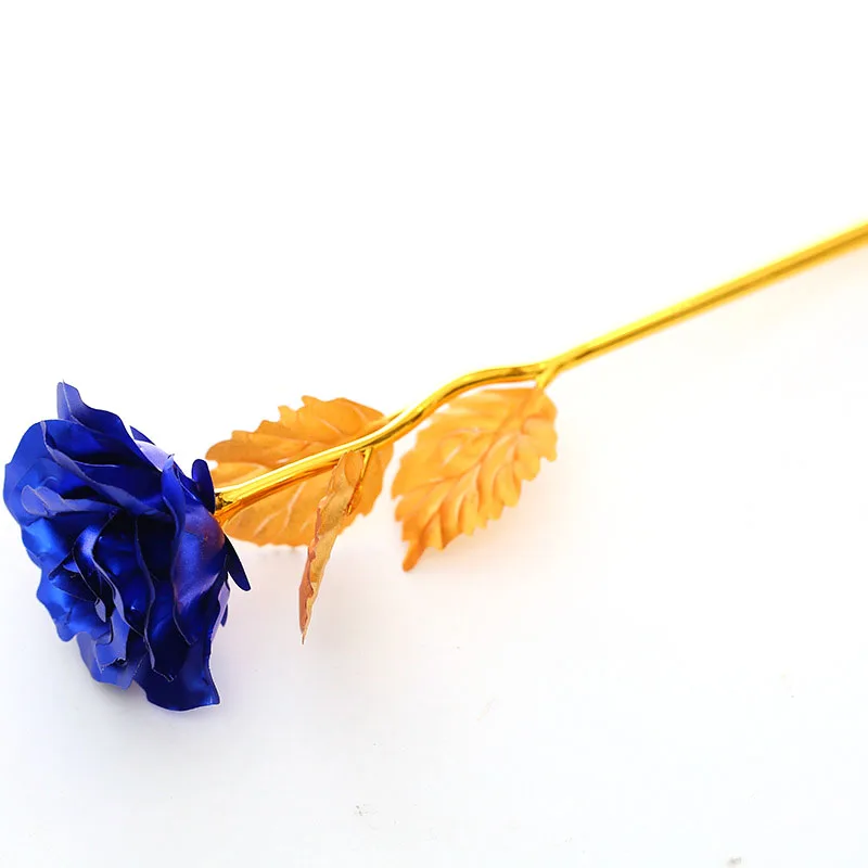 blue rose flower.jpg