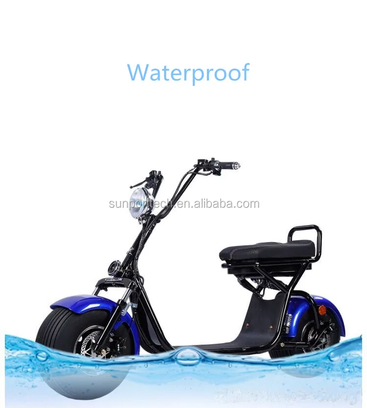 citycoco scooter_4.jpg