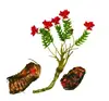 Original Tibet wild organic dry Rhodiola rosea root cuts