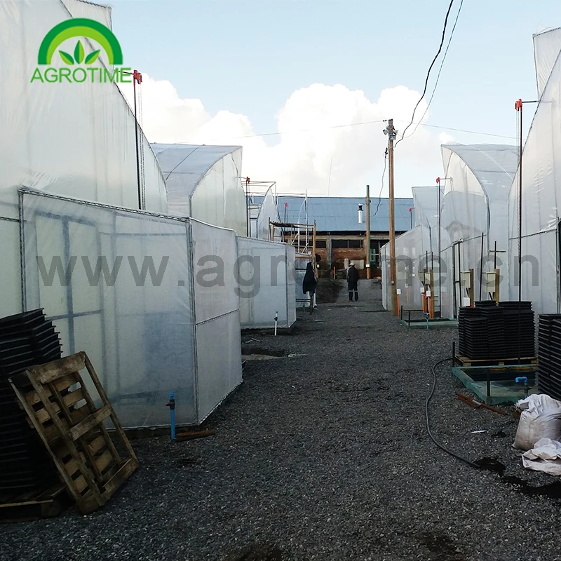 
Agricultural Single Span Tunnel Roof Vent Green house 