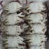 frozen IQF&BQF blue swimming crabs with large sizes