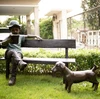 sitting on a bench read book boy bronze sculpture with a dog