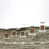 1ml 2ml 3ml Small Tiny Clear Empty Glass Bottles Vial Cork Stopper