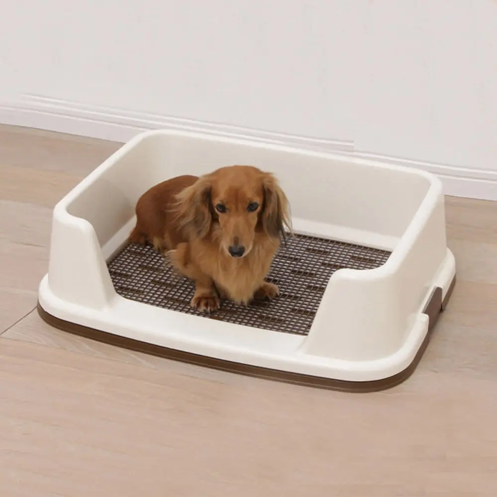 Cheap Dog Toilet, find Dog Toilet deals on line at