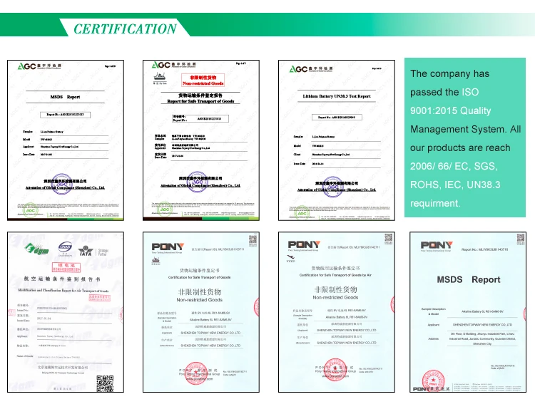 lithium polymer battery