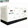 Colorful PRACTICAL 110KVA 88KW Max Power Generator Diesel with Generator Parts