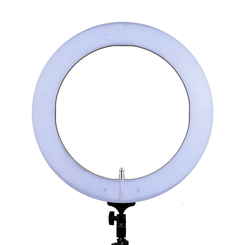 circular studio lights