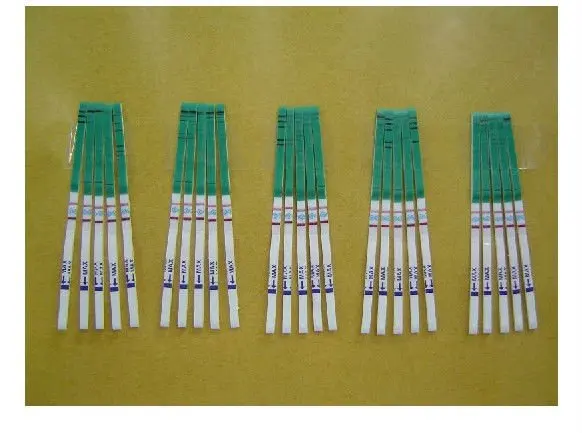 HCG PREGNANCY STRIP