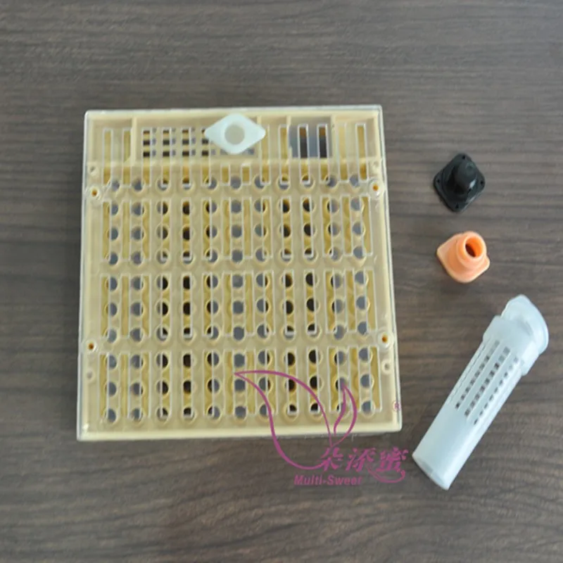 Sistema De Cría De Abeja Reina, Kit De Copa De Celda De