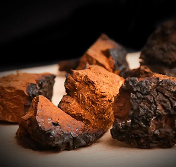 
Top superfood chaga tea help in fight against cancer 