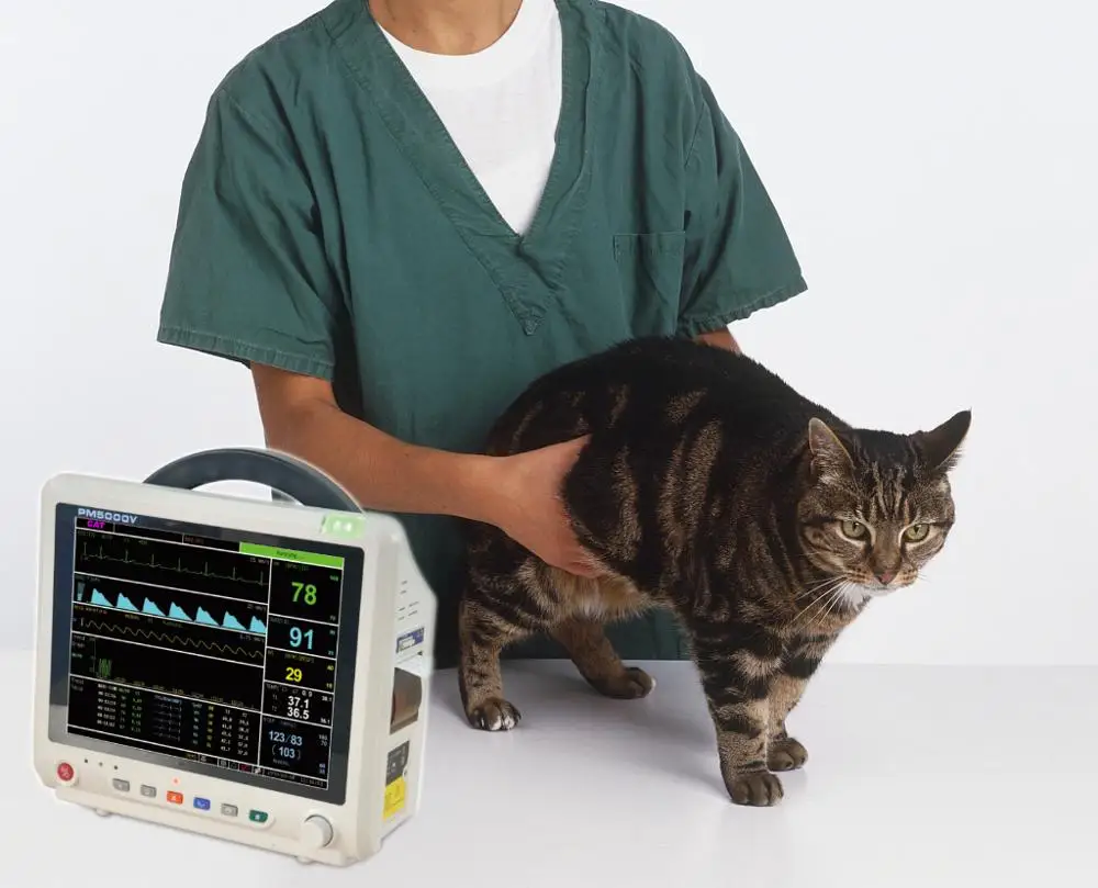 PM5000V: