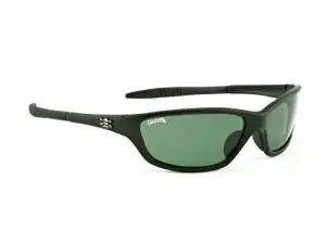 calcutta newport sunglasses