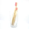 100% Biodegradable bamboo toothbrushes with names and logos for sale