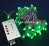 50nodes/string lights ws2811 waterproof smart pixel rgb led module+T-1000B flashing led light controller