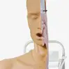 H88 High Intelligence Advanced Swallow Mechanism Nursing model