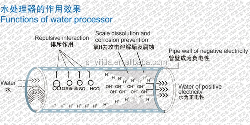 Functions of water