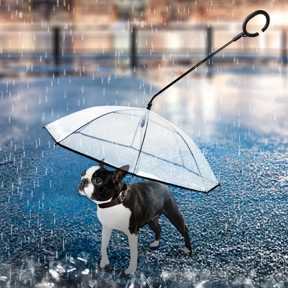 Hot Sale Folded Pet Umbrella Transparent Dog Umbrella - Buy Pet ...