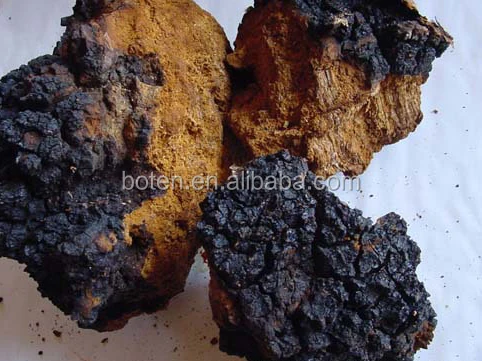 Chaga Extract (3).jpg