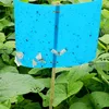 PP blue sticky traps, pest glue cards, natural pest control way to kill thrips