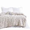 Factory New winter season cotton print fresh style washable quilt