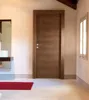 Black Walnut Veneered Solid Core Flush Doors Wooden Design