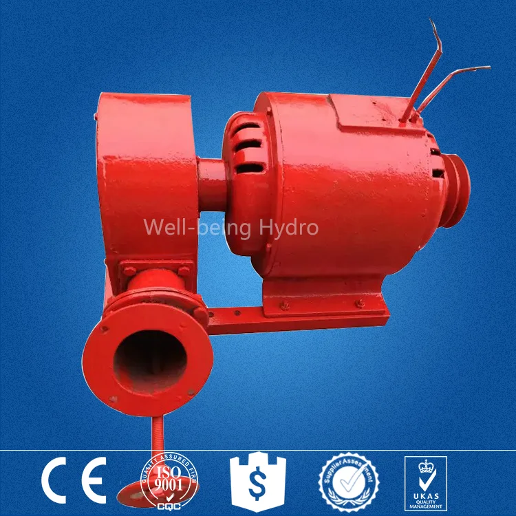 Turbina Pelton/turbina hidráulica/turbina de agua - China Sups