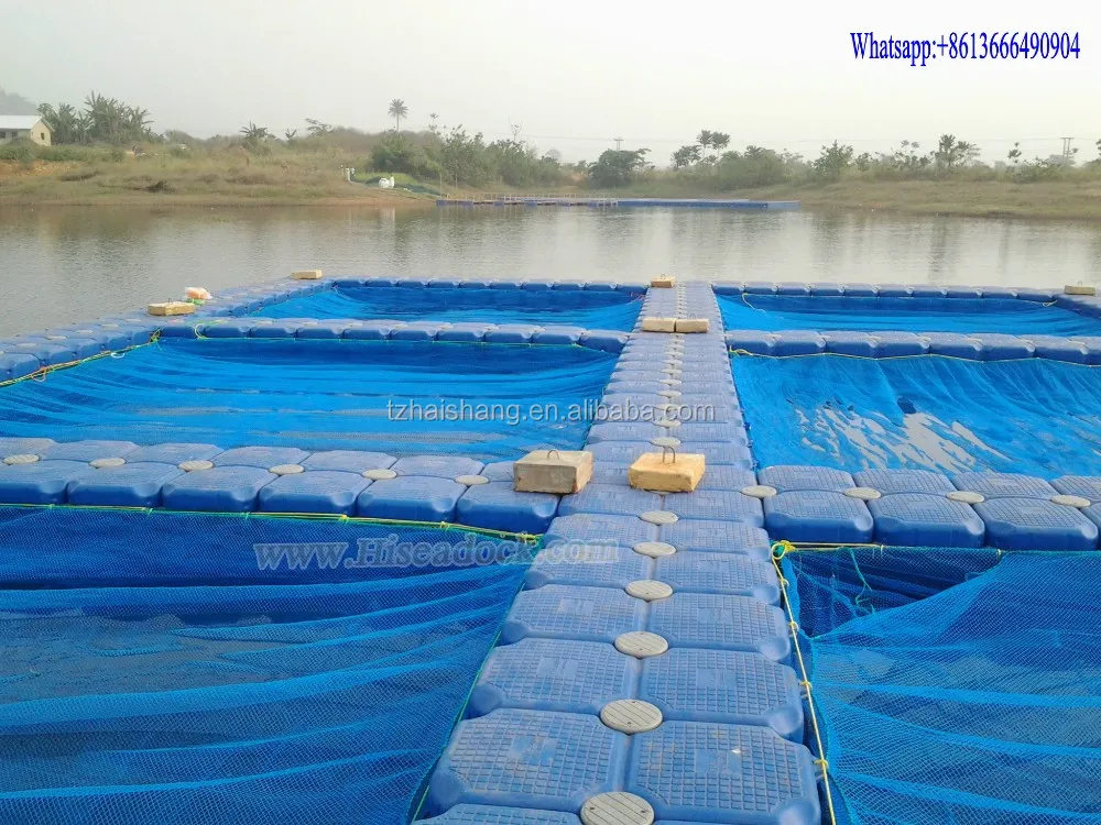 Fish Breeding Farm Buy Fish Farm Feeder Commercial Fishing