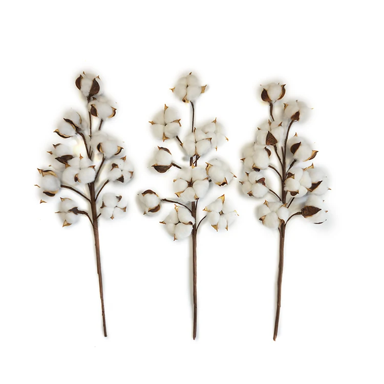 
21inch New designs Natural artificial dried flowers decorative flowers bionic balls natural cotton stems wholesale 3 pack 6 