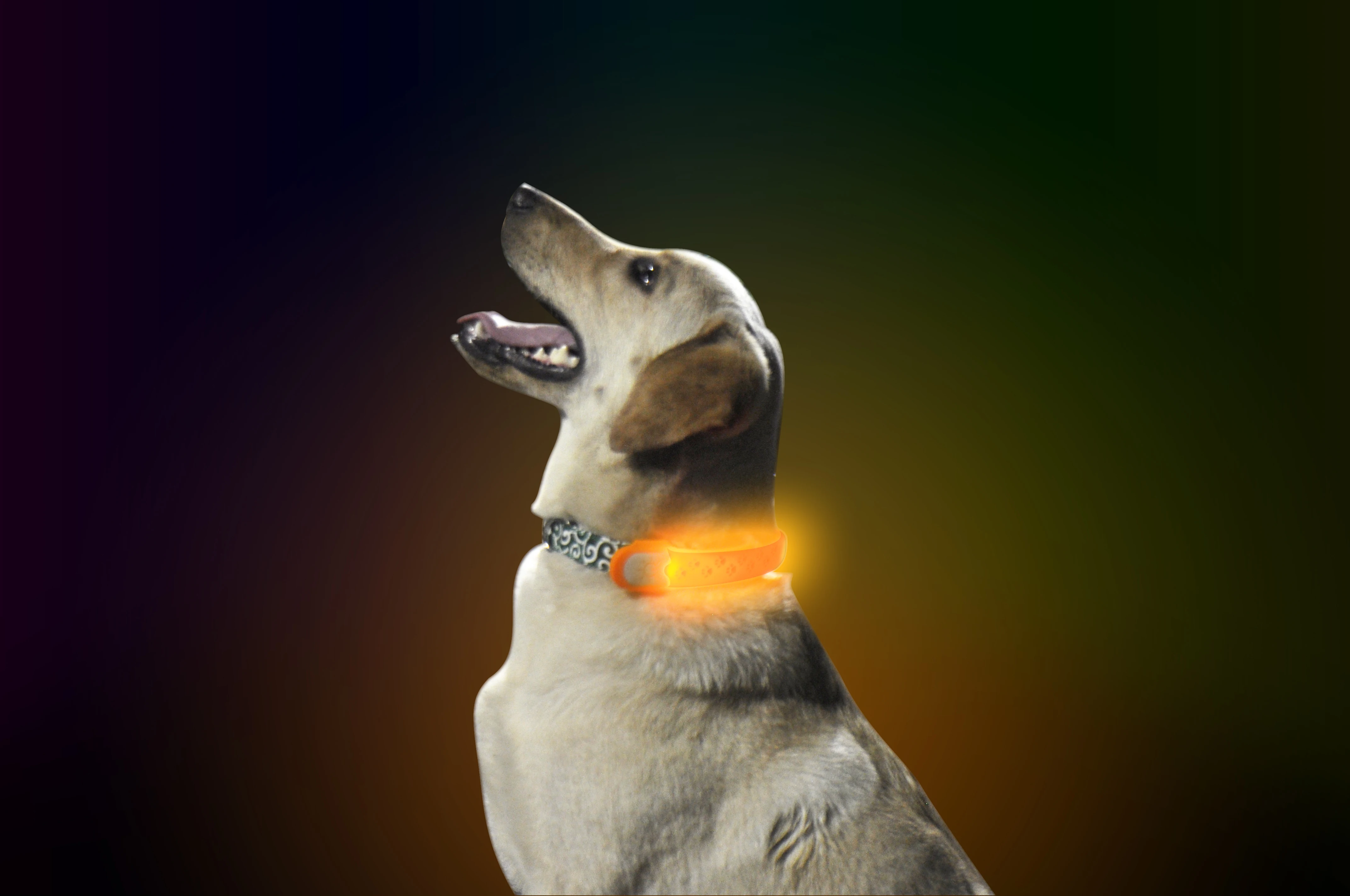 Original Led Dog Collar Cover Attach to Common Dog Collar to Get Visibility Flashing Waterproof Silicone Dog Collar Light