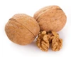 cold resistant Walnut tree