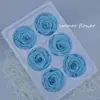 Multicolor Preserved Rose Japanese Skill Method Forever Rose