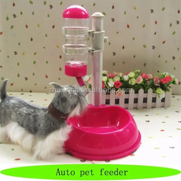 smart auto cat feeder smart auto cat feeder