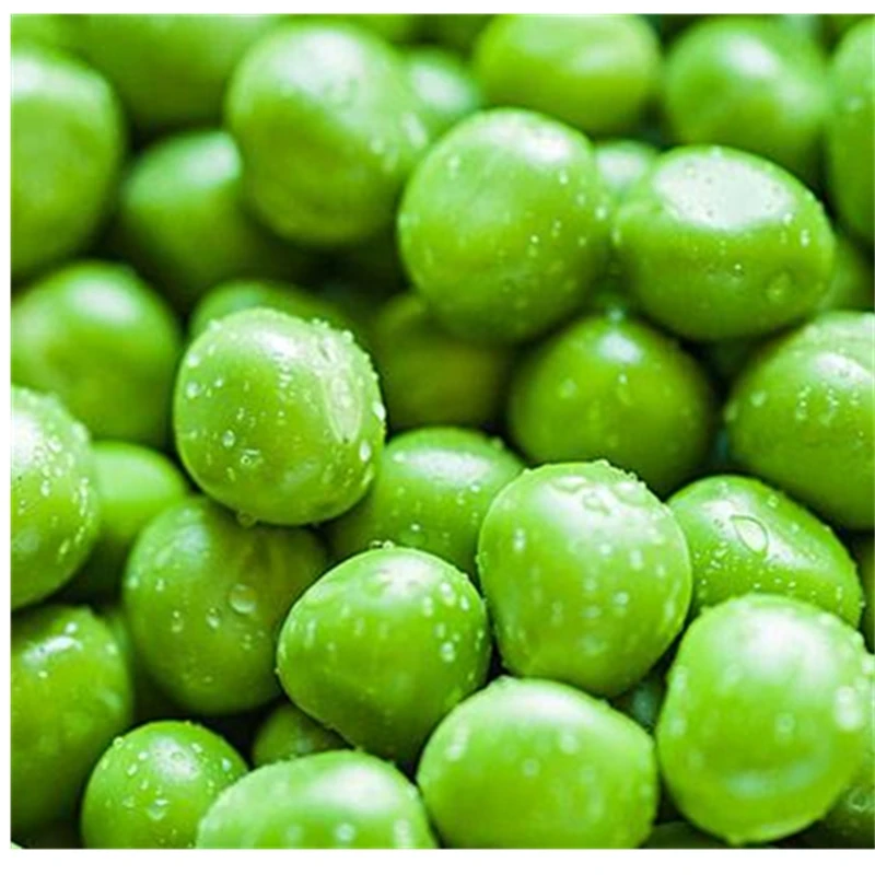 
Best selling IQF frozen green peas 