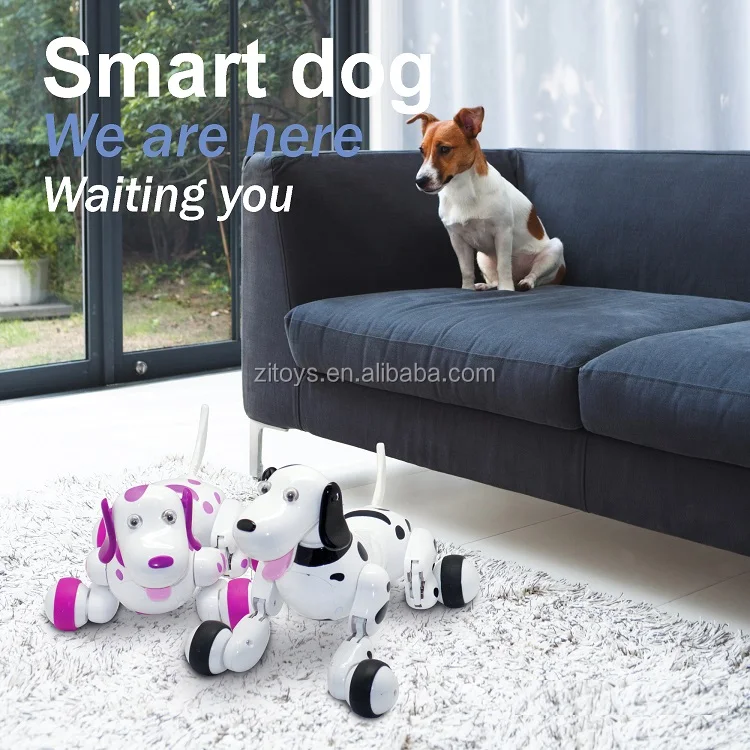 rc dog smart pet