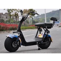 

Off Road Electric Scooter 1500W Electric City Coco Adult Fat Tire Citycoco With Removable Lithium Battery