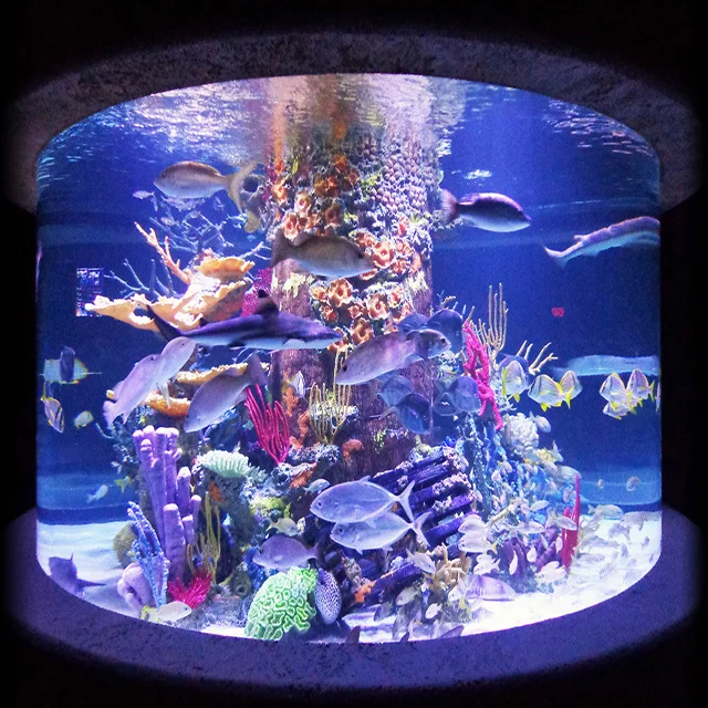 Pg Large Customized Acrylic Fish Tank Artificial Coral Reef Aquarium