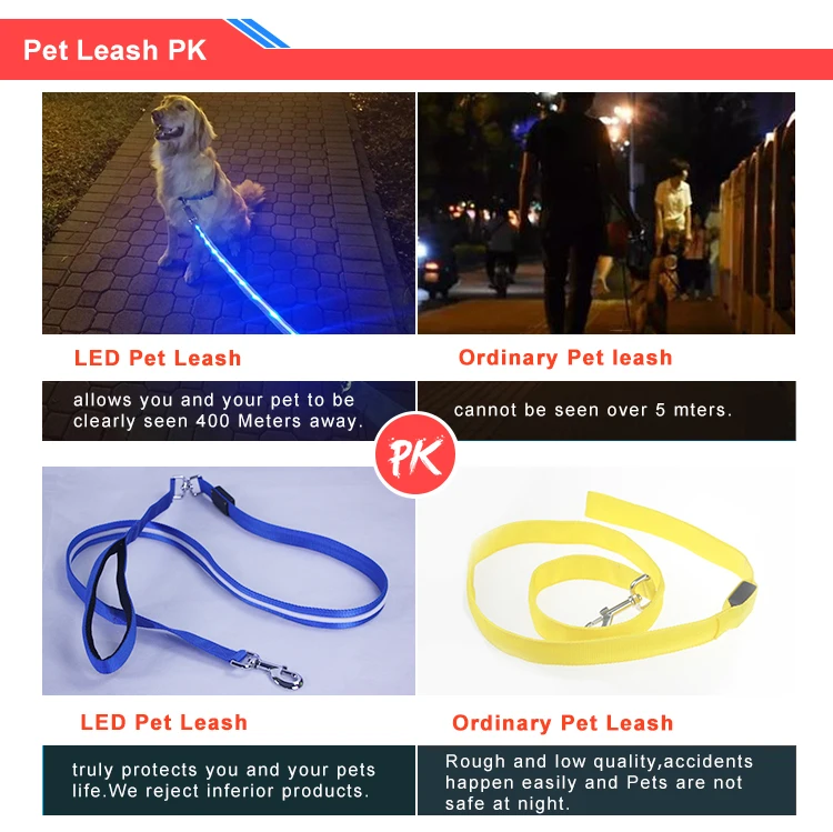 Rechargeable USB Nylon LED Dog Leash