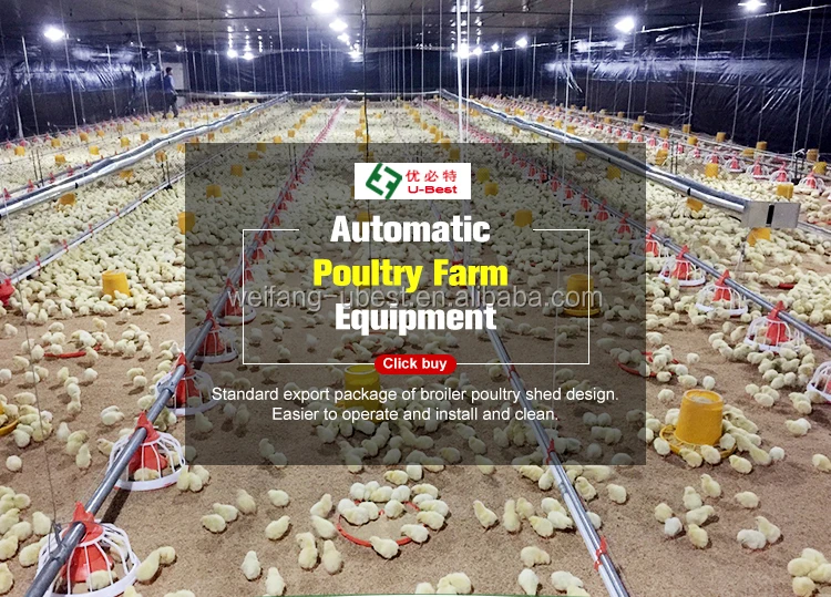 High Quality Modern Automated Poultry House Equipment Broiler Chicken ...