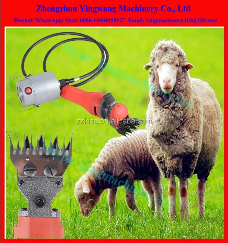 electric sheep shears (2)