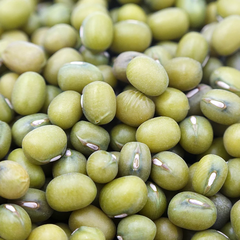 Wholesale Chinese Export Dry Green Mung Beans