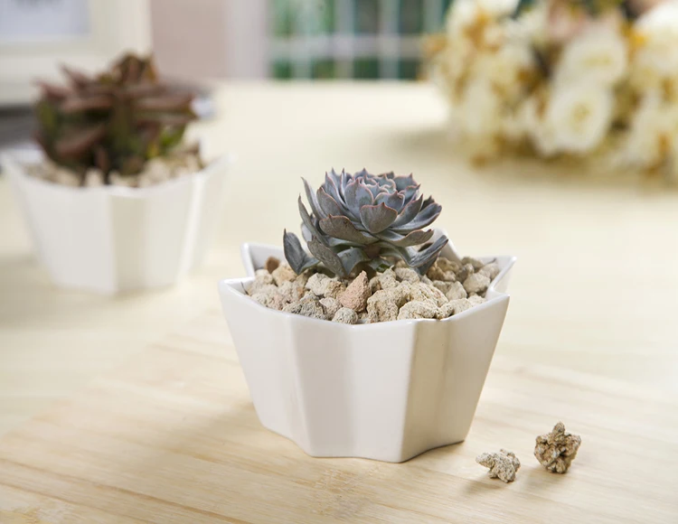 Geometric Design Miniature Indoor Planters