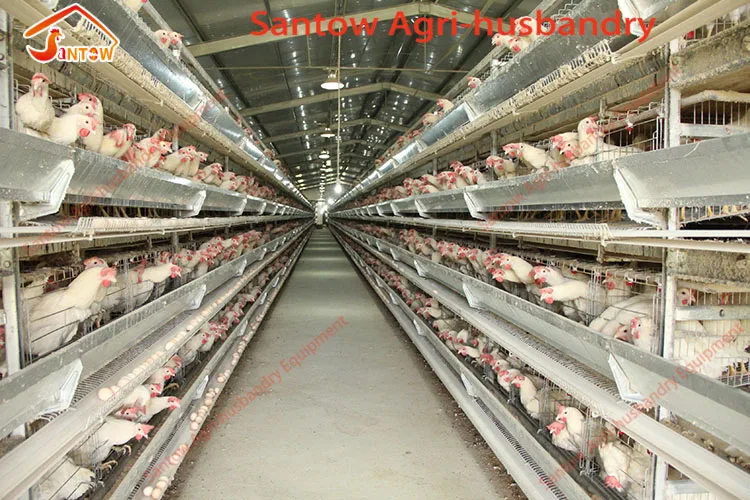 prefabricated chicken coop hen house for sale / metal wire mesh laying hen houses