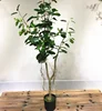 china supply mini 130cm artificial banyan tree for sale