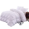 HONREN 50% Goose Down and 50% Feather Filling Queen (88-by-88-Inch) Bedding Comforter, White