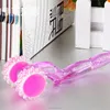 Two Wheels Plastic Face Roller