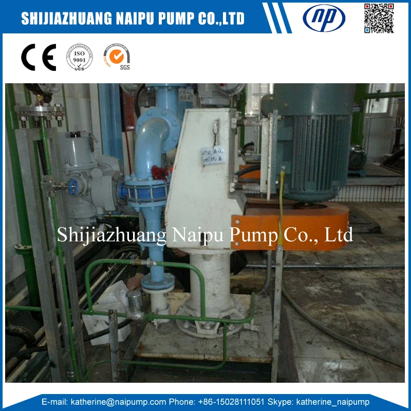 Naipu 65zjl Bd Drive High Chrome Wet End Part Excellence Slurry Pump 