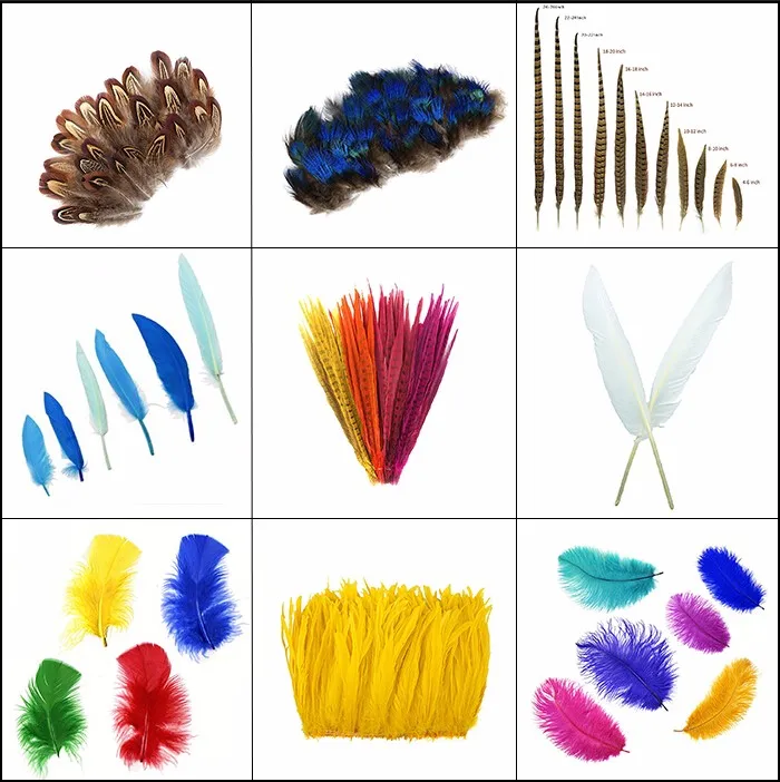 Best Quality Ecofriendly Environmentally 2050 Inch Stem Dyed Feather