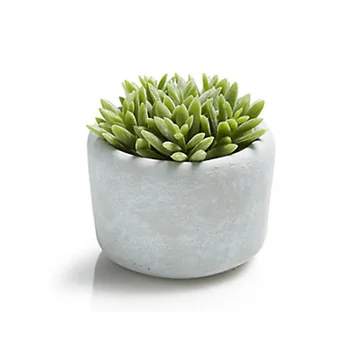 Custom Home Decorative Cement Flower Pot - Buy Cement Flower Pot,Custom