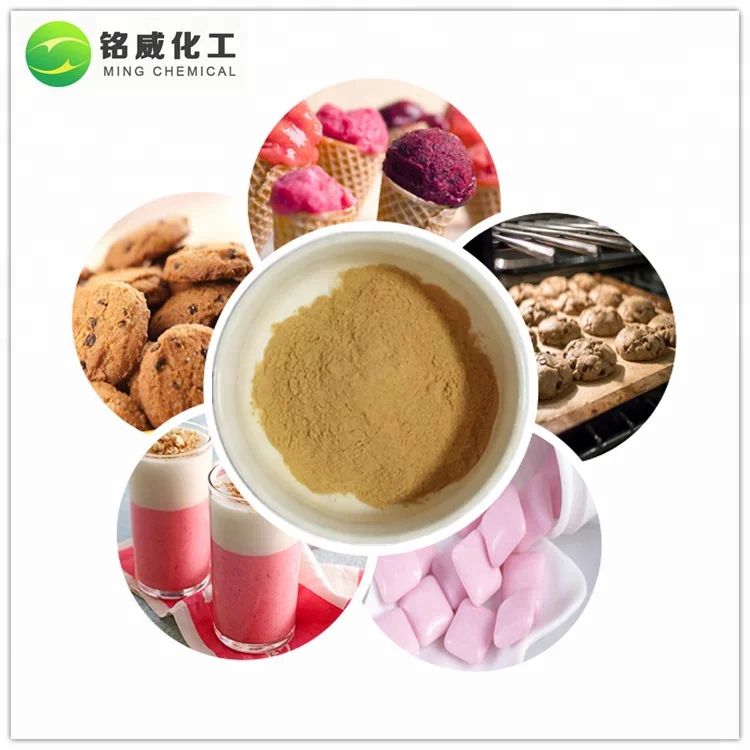 Bulk Organic Monk Fruit Extract With 20% Mogroside V Manufacturer