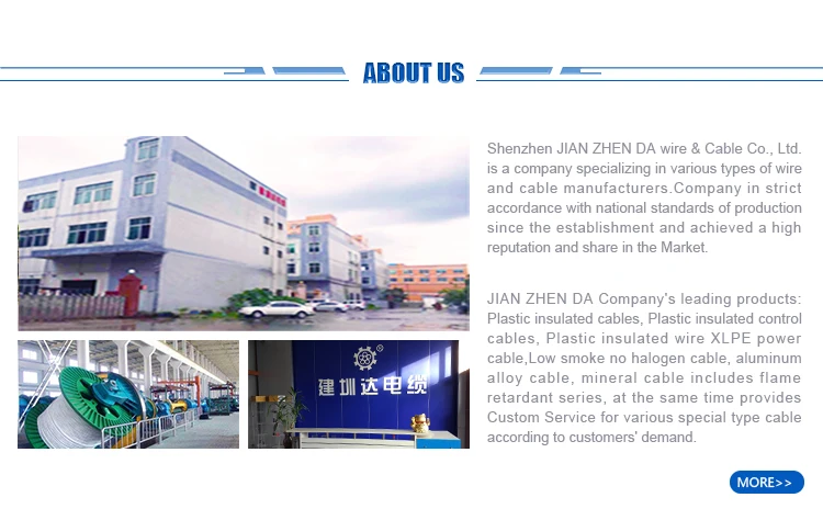 company1.jpg